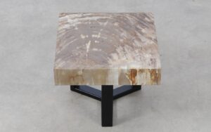 Coffee table petrified wood 51210