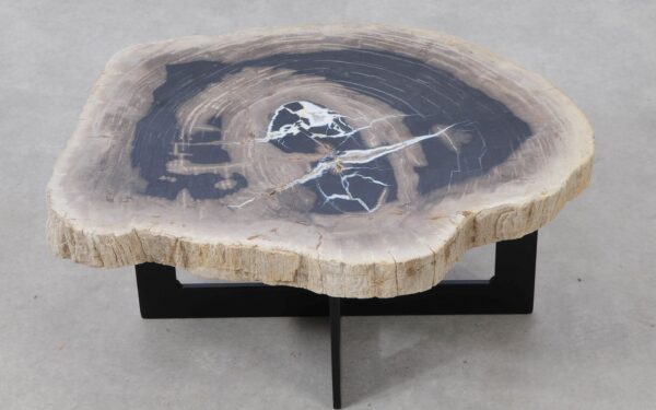 Coffee table petrified wood 53159