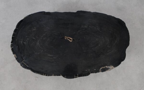 Coffee table petrified wood 53160