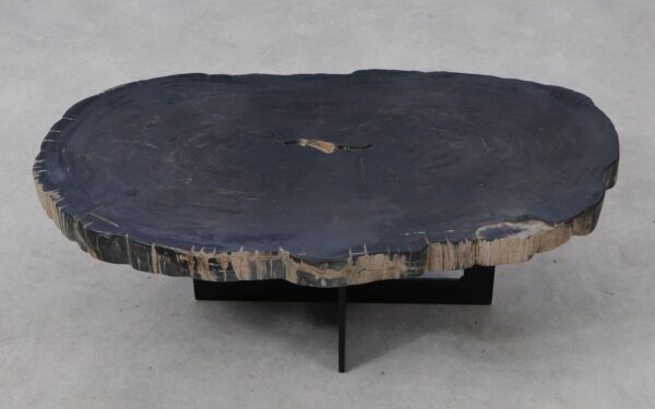 Coffee table petrified wood 53160