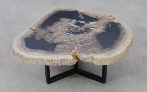 Coffee table petrified wood 53161