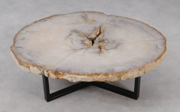 Coffee table petrified wood 53202