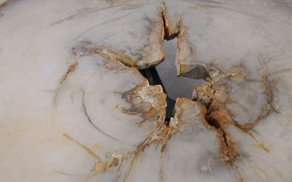 Coffee table petrified wood 53202