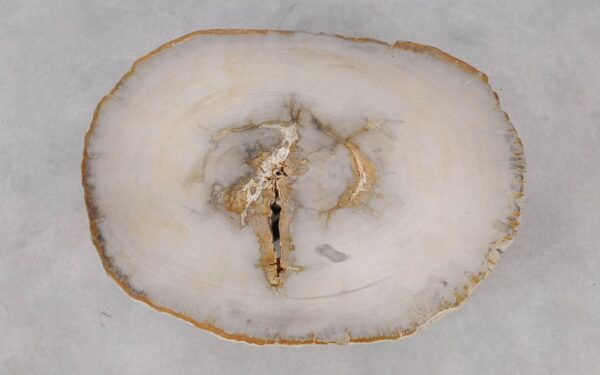 Coffee table petrified wood 53203