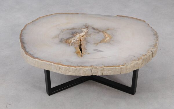 Coffee table petrified wood 53203