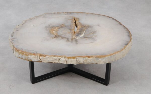 Coffee table petrified wood 53205