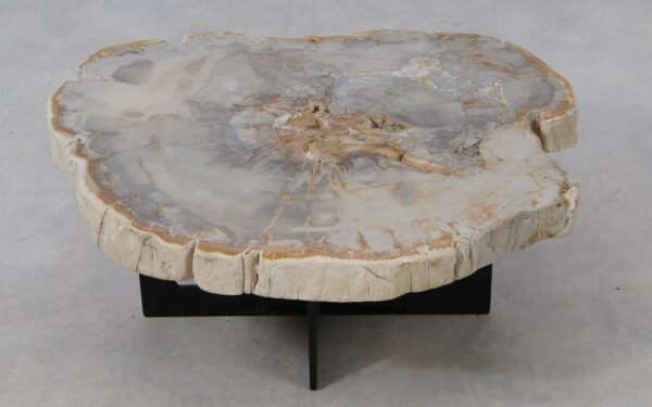 Coffee table petrified wood 53245