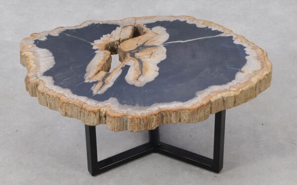 Coffee table petrified wood 53261