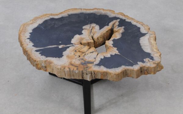 Coffee table petrified wood 53262