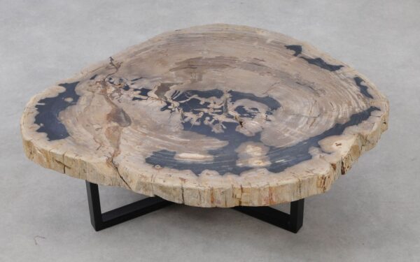 Coffee table petrified wood 53263