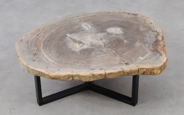 Coffee table petrified wood 53265