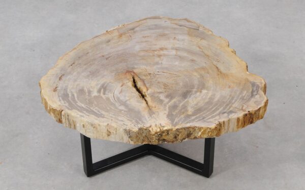 Coffee table petrified wood 53266