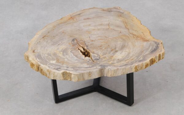 Coffee table petrified wood 53267