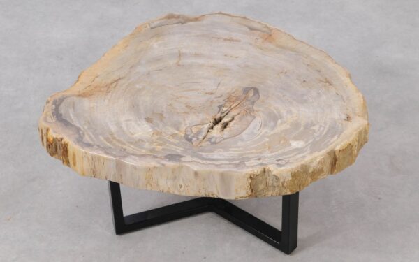 Coffee table petrified wood 53268