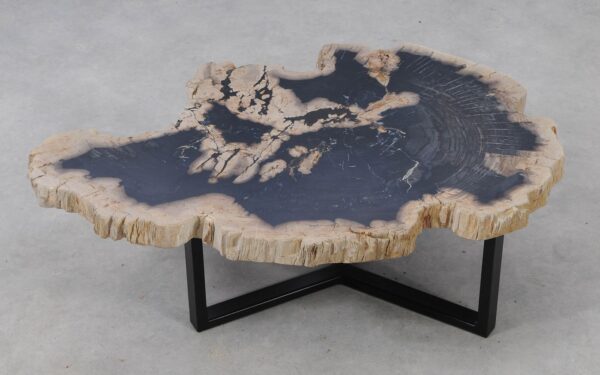 Coffee table petrified wood 53271