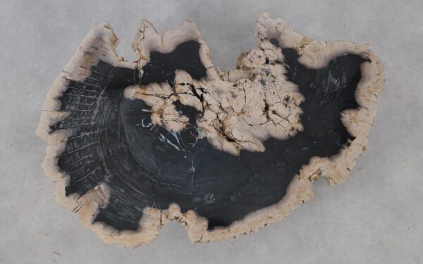 Coffee table petrified wood 53272