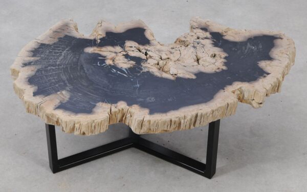 Coffee table petrified wood 53272