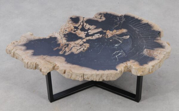 Coffee table petrified wood 53273