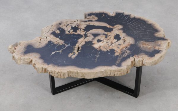 Coffee table petrified wood 53274