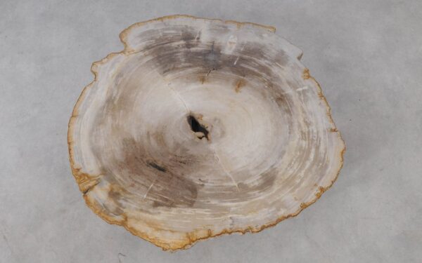 Coffee table petrified wood 53275