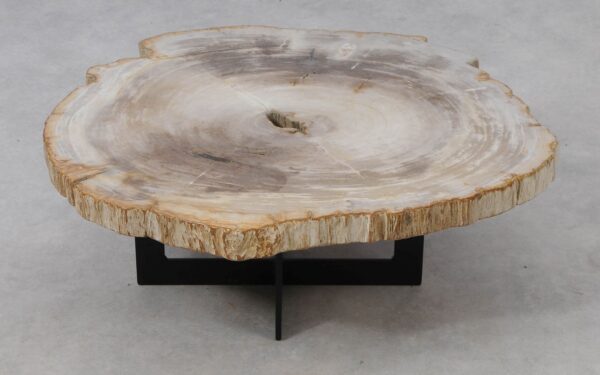 Coffee table petrified wood 53275