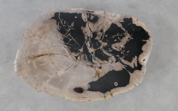 Coffee table petrified wood 53278