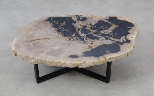 Coffee table petrified wood 53278