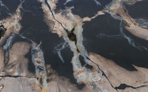 Coffee table petrified wood 53278