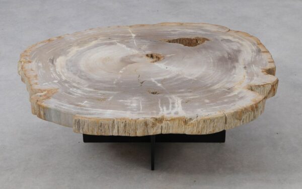 Coffee table petrified wood 53289