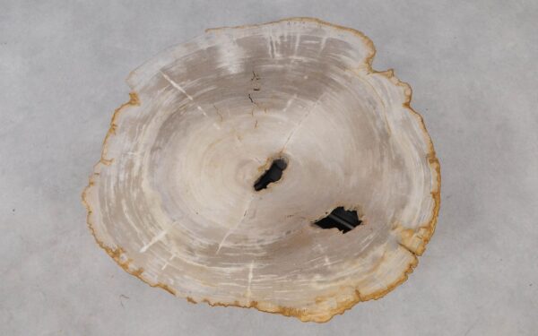 Coffee table petrified wood 53290