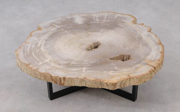 Coffee table petrified wood 53290