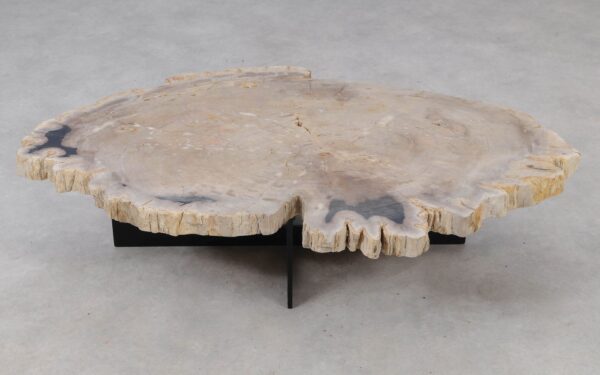 Coffee table petrified wood 53292