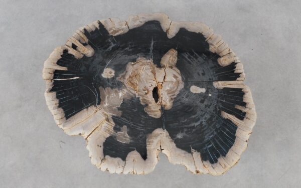 Coffee table petrified wood 53300