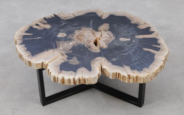 Coffee table petrified wood 53300