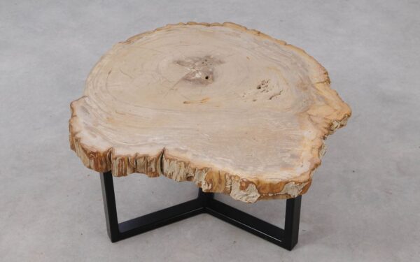 Coffee table petrified wood 53303