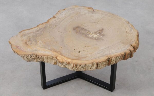 Coffee table petrified wood 53308