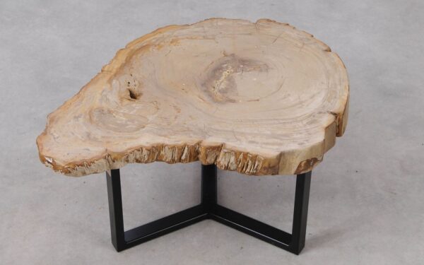 Coffee table petrified wood 53309