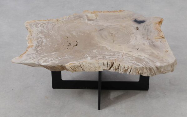 Coffee table petrified wood 53311