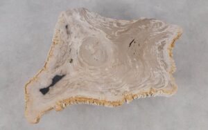 Coffee table petrified wood 53312