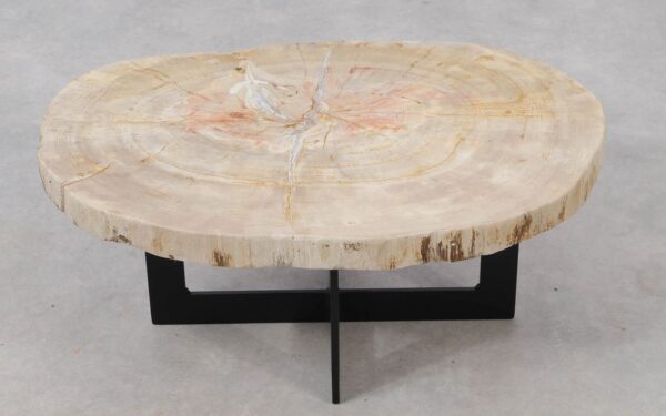 Coffee table petrified wood 53317