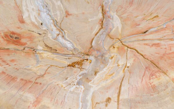 Coffee table petrified wood 53317