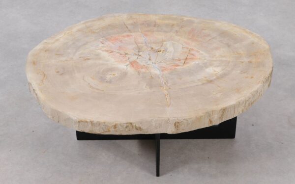 Coffee table petrified wood 53318