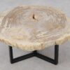 Coffee table petrified wood 53320