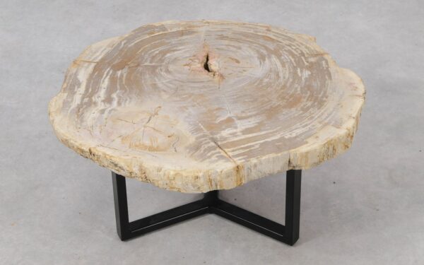 Coffee table petrified wood 53320