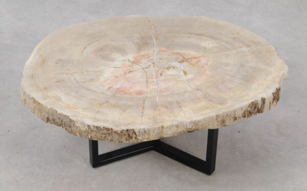 Coffee table petrified wood 53321