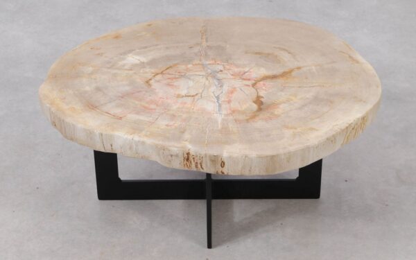 Coffee table petrified wood 53322