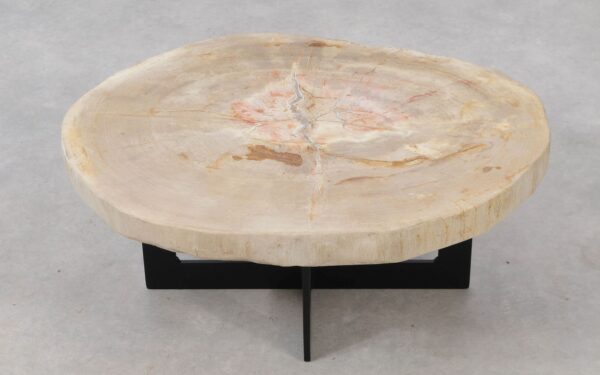 Coffee table petrified wood 53323