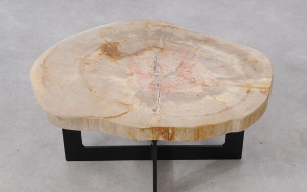 Coffee table petrified wood 53325