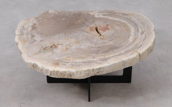 Coffee table petrified wood 53329