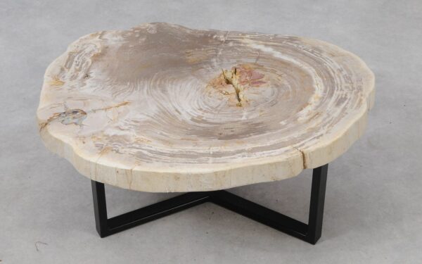 Coffee table petrified wood 53331
